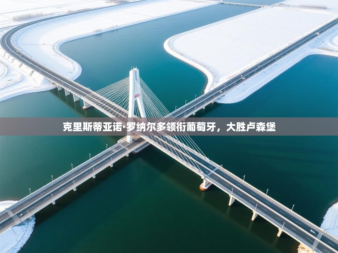 克里斯蒂亚诺·罗纳尔多领衔葡萄牙，大胜卢森堡  第2张