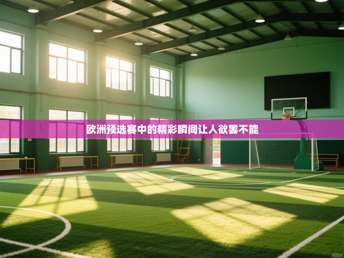 欧洲预选赛中的精彩瞬间让人欲罢不能  第2张