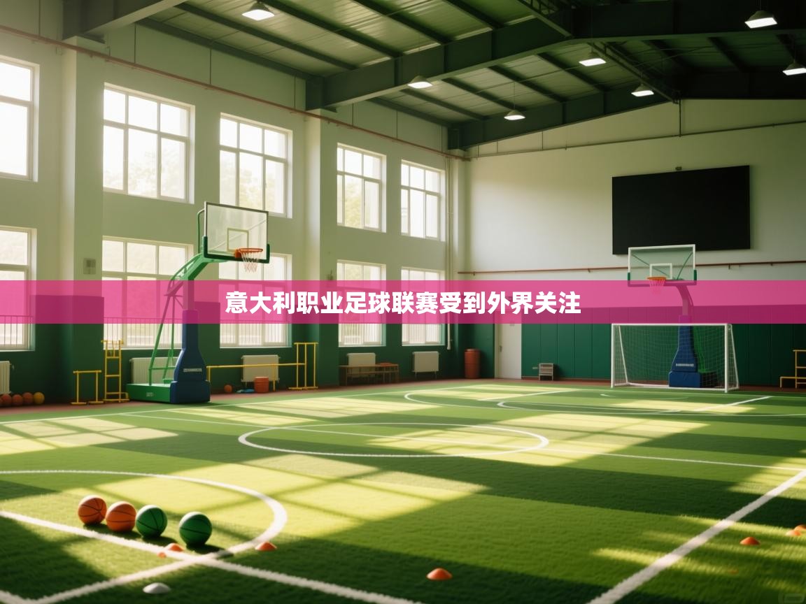 意大利职业足球联赛受到外界关注  第1张