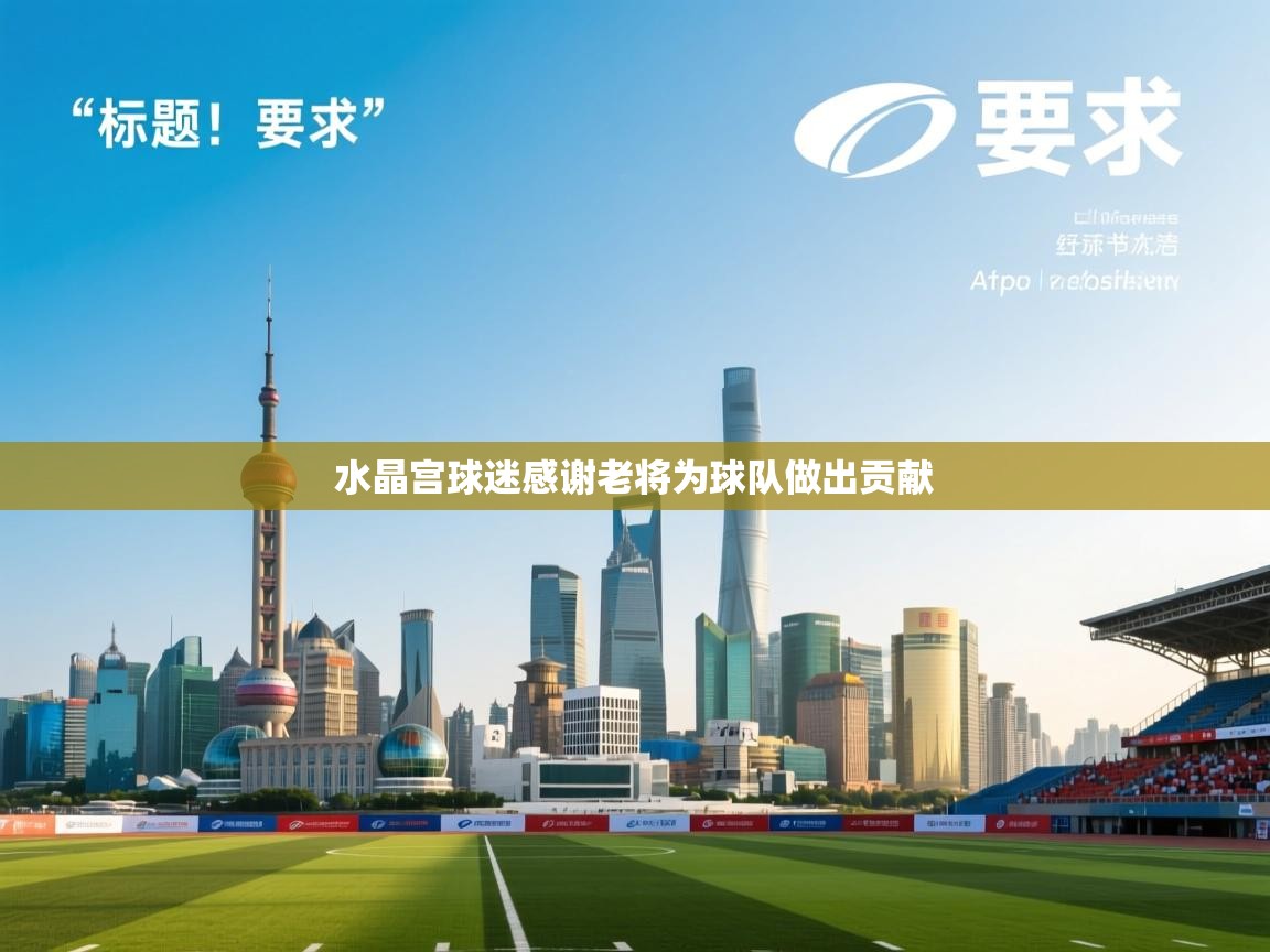 水晶宫球迷感谢老将为球队做出贡献  第1张