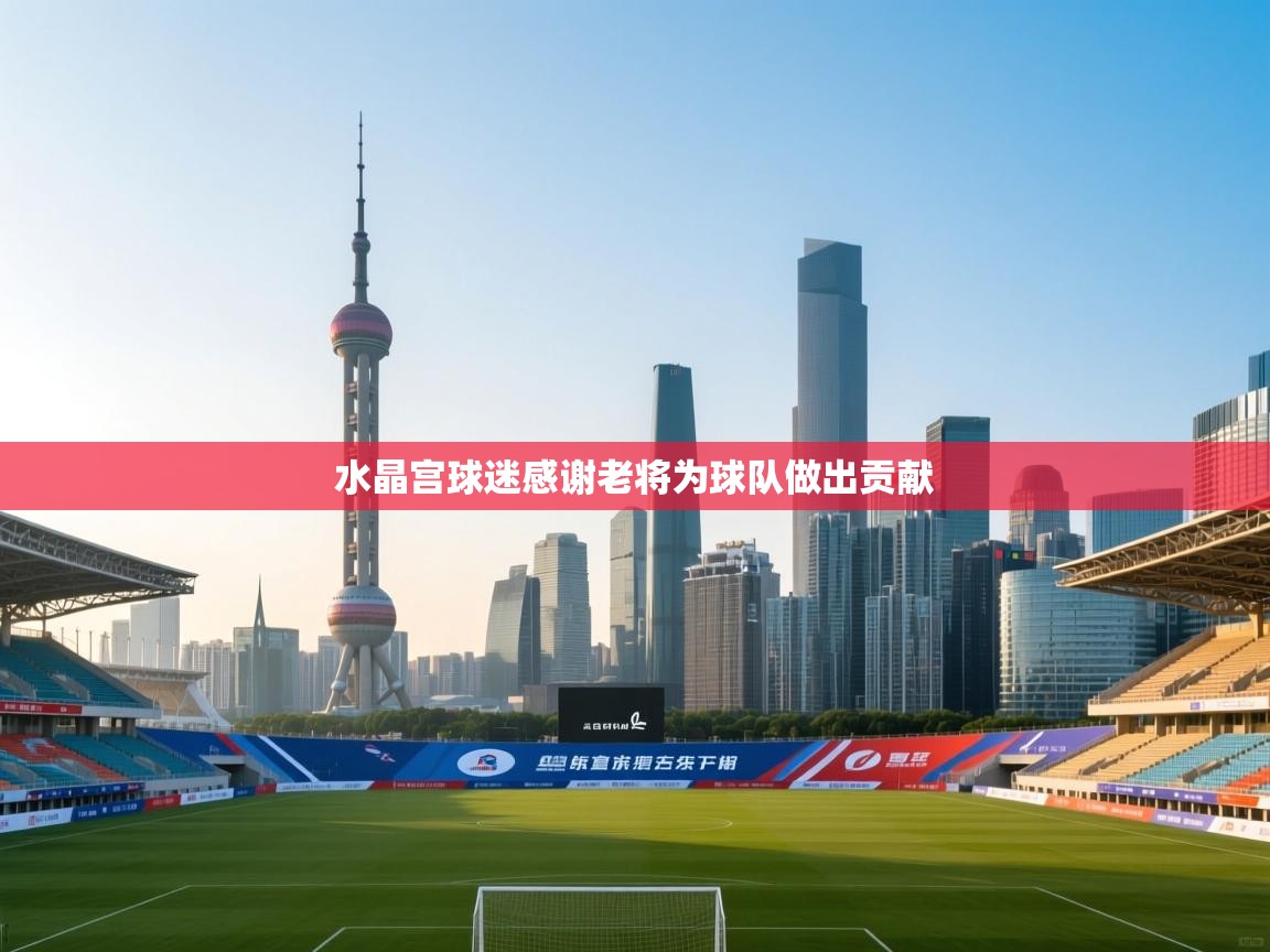 水晶宫球迷感谢老将为球队做出贡献  第2张