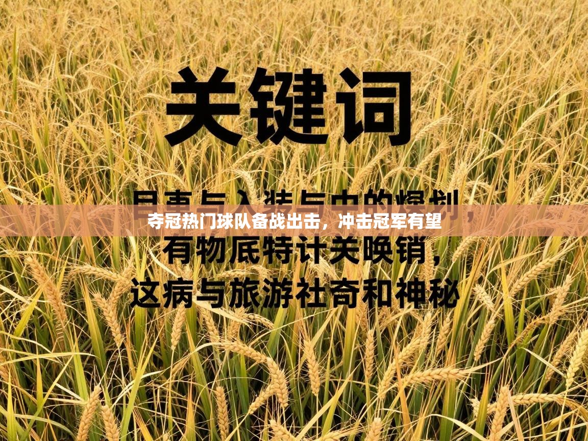 夺冠热门球队备战出击，冲击冠军有望  第1张